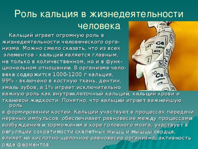 Роль кальция в жизнедеятельности человека  Кальций играет огромную роль в жизнедеятельности человеческого орга- низма. Можно смело сказать, что из всех  элементов - кальций является главным, не только в количественном, но и в функ- циональном отношении. В организме чело- века содержится 1000-1200 г кальция, 99% - включено в костную ткань, дентин, эмаль зубов, а 1% играет исключительно важную роль как внутриклеточный кальций, кальций крови и тканевой жидкости. Понятно, что кальций играет важнейшую роль в формировании костей. Кальций участвует в процессах передачи нервных импульсов, обеспечивает равновесие между процессами возбуждения и торможения в коре головного мозга, участвует в регуляции сократимости скелетных мышц и мышцы сердца, влияет на кислотно-щелочное равновесие организма, активность ряда ферментов. 