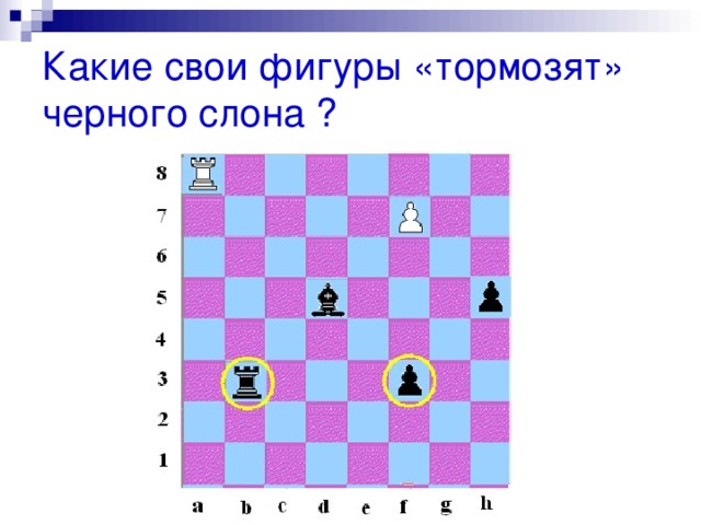 Какие свои фигуры «тормозят» черного слона ? 