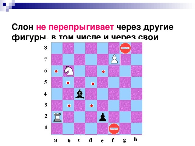  Слон не перепрыгивает через другие фигуры, в том числе и через свои   