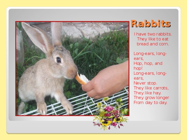 Rabbits I have two rabbits. They like to eat bread and corn. Long-ears, long-ears, Hop, hop, and hop! Long-ears, long-ears, Never stop. They like carrots, They like hay. They grow longer From day to day.   