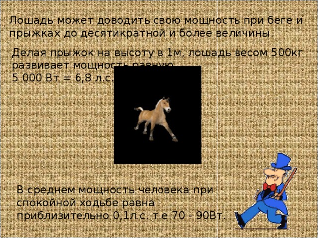Лошадь может доводить свою мощность при беге и прыжках до десятикратной и более величины. Делая прыжок на высоту в 1м, лошадь весом 500кг развивает мощность равную 5 000 Вт = 6,8 л.с. В среднем мощность человека при спокойной ходьбе равна приблизительно 0,1л.с. т.е 70 - 90Вт.   