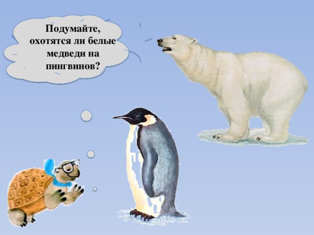 Подумайте, охотятся ли белые медведи на пингвинов? 