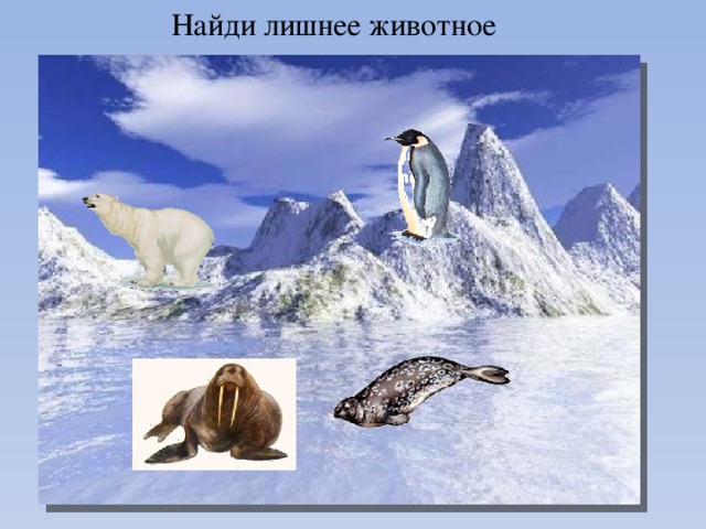Найди лишнее животное 