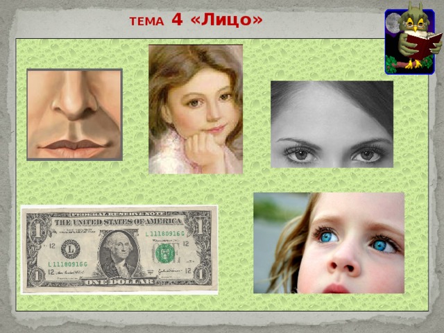 ТЕМА 4 «Лицо»  