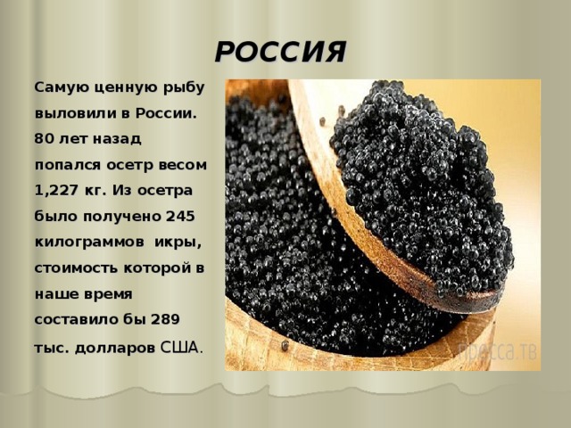 РОССИЯ Самую ценную рыбу выловили в России. 80 лет назад попался осетр весом 1,227 кг. Из осетра было получено 245 килограммов икры, стоимость которой в наше время составило бы 289 тыс. долларов США. 