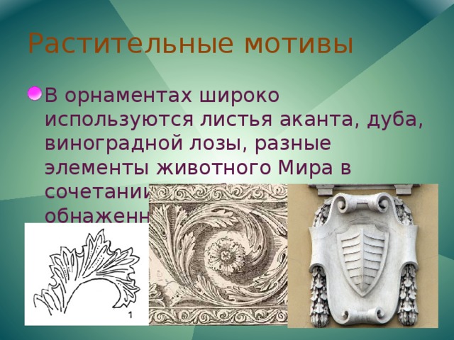Растительные мотивы В орнаментах широко используются листья аканта, дуба, виноградной лозы, разные элементы животного Мира в сочетании с изображением обнаженного человеческого тела. 