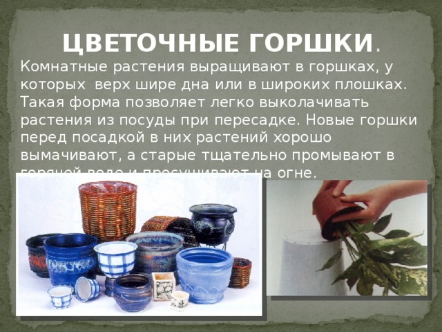 ЦВЕТОЧНЫЕ ГОРШКИ . Комнатные растения выращивают в горшках, у которых верх шире дна или в широких плошках. Такая форма позволяет легко выколачивать растения из посуды при пересадке. Новые горшки перед посадкой в них растений хорошо вымачивают, а старые тщательно промывают в горячей воде и просушивают на огне. 