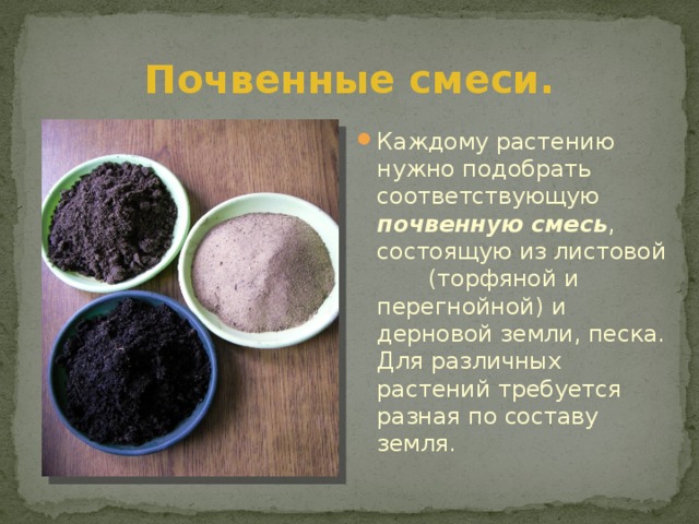 Почвенные смеси. Каждому растению нужно подобрать соответствующую почвенную смесь , состоящую из листовой (торфяной и перегнойной) и дерновой земли, песка. Для различных растений требуется разная по составу земля. 