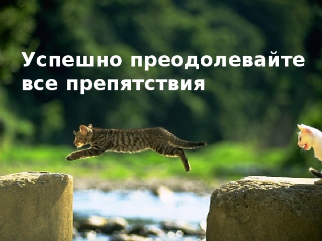 Успешно преодолевайте все препятствия 