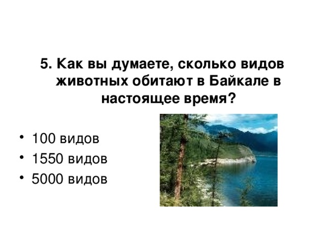 5. Как вы думаете, сколько видов животных обитают в Байкале в настоящее время?  100 видов 1550 видов 5000 видов 