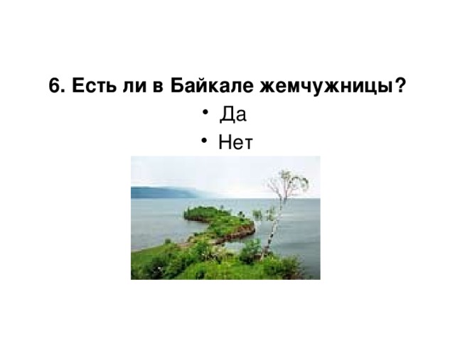 6. Есть ли в Байкале жемчужницы? Да Нет 