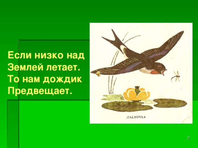 Если низко над Землей летает. То нам дождик Предвещает.   