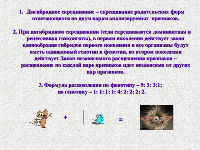 Дигибридное скрещивание – скрещивание родительских форм отличающихся по двум парам анализируемых признаков.  2. При дигибридном скрещивании (если скрещиваются доминантная и рецессивная гомозиготы), в первом поколении действует закон единообразия гибридов первого поколения и все организмы будут иметь одинаковый генотип и фенотип, во втором поколении действует Закон независимого расщепления признаков – расщепление по каждой паре признаков идет независимо от других пар признаков.  3. Формула расщепления по фенотипу – 9: 3: 3:1; по генотипу – 1: 1: 1: 1: 4: 2: 2: 2: 2. + = 