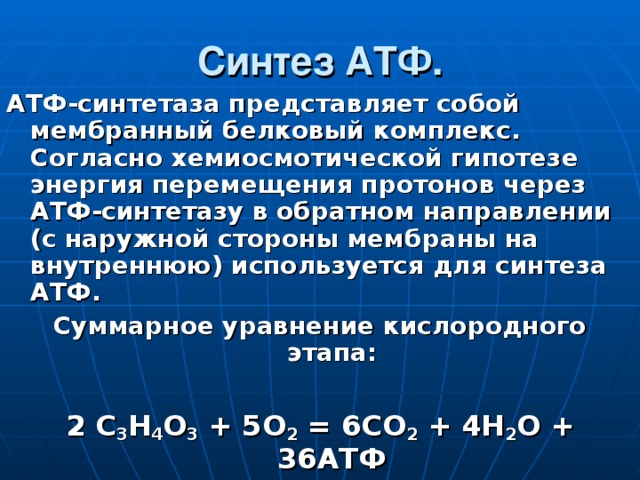 Синтез АТФ. АТФ-синтетаза представляет собой мембранный белковый комплекс. Согласно хемиосмотической гипотезе энергия перемещения протонов через АТФ-синтетазу в обратном направлении (с наружной стороны мембраны на внутреннюю) используется для синтеза АТФ. Суммарное уравнение кислородного этапа: 2 С 3 Н 4 О 3 + 5О 2 = 6СО 2 + 4Н 2 О + 36АТФ 