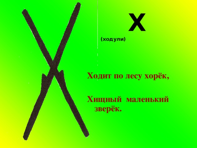 Х (ходули)  Ходит по лесу хорёк,  Хищный маленький зверёк. 