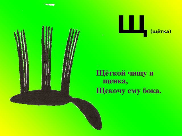  Щ (щётка)  Щёткой чищу я щенка, Щекочу ему бока. 