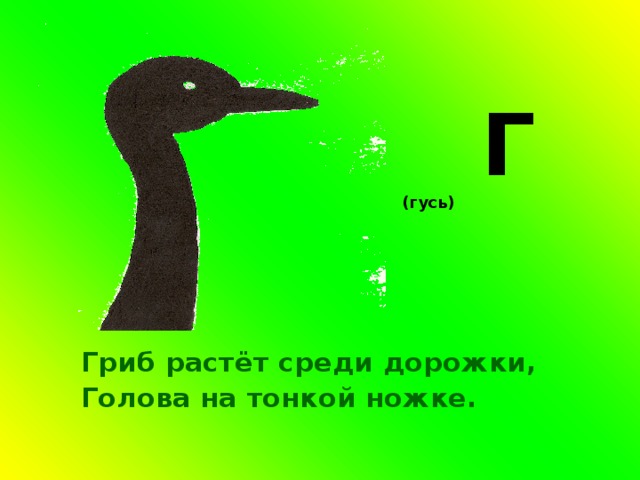   Г (гусь) Гриб растёт среди дорожки, Голова на тонкой ножке.  