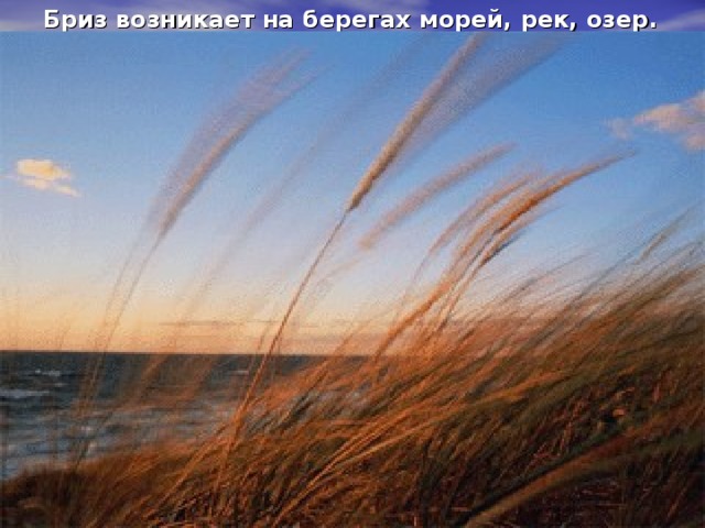 Бриз-  (фр. Bris – легкий ветер) Это местный ветер небольшой скорости, меняющий свое направление два раза в сутки. 