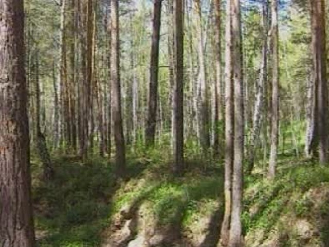 Ильменский заповедник 