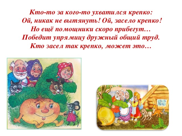 Кто-то за кого-то ухватился крепко:  Ой, никак не вытянуть! Ой, засело крепко!  Но ещё помощники скоро прибегут…  Победит упрямицу дружный общий труд.  Кто засел так крепко, может это…   