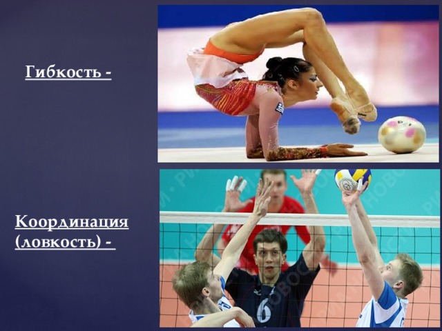 это способность совершать движения большой амплитуды в суставе или группах суставов. -общая(подвижность всех суставов) -специальная( подвижность в суставах обусловленная профессиональной деятельностью) -активная( самостоятельные амплитудные движения) -пассивная (с помощью партнера) Гибкость - это способность быстро овладевать сложными движениям быстро и точно перестраивать двигательную деятельность в соответствии с требованиями меняющейся обстановки. Ловкость, в известной мере, качество врождённое, однако в процессе тренировки её в значительной степени можно совершенствовать. -временная(чувство времени) -пространственная -силовая( по степени мышечных усилий) Координация (ловкость) - 