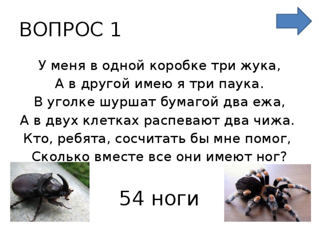 ВОПРОС 1 У меня в одной коробке три жука, А в другой имею я три паука. В уголке шуршат бумагой два ежа, А в двух клетках распевают два чижа. Кто, ребята, сосчитать бы мне помог, Сколько вместе все они имеют ног? 54 ноги 