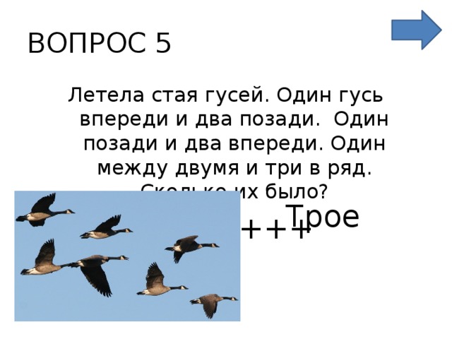 ВОПРОС 5 Летела стая гусей. Один гусь впереди и два позади. Один позади и два впереди. Один между двумя и три в ряд.  Сколько их было? +++++++ Трое 