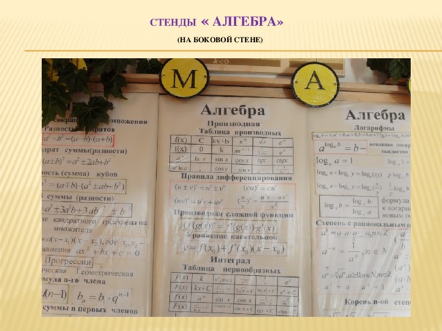 Стенды « алгебра»   (на боковой стене) 