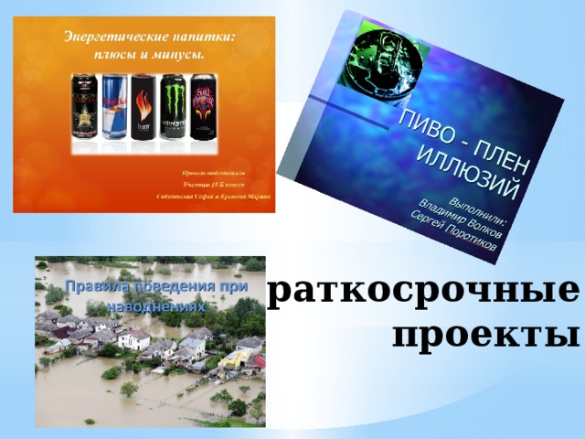 Краткосрочные проекты 