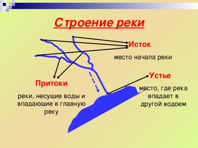 Строение реки Исток  место начала реки Устье  место, где река впадает в другой водоем Притоки реки, несущие воды и впадающие в главную реку 