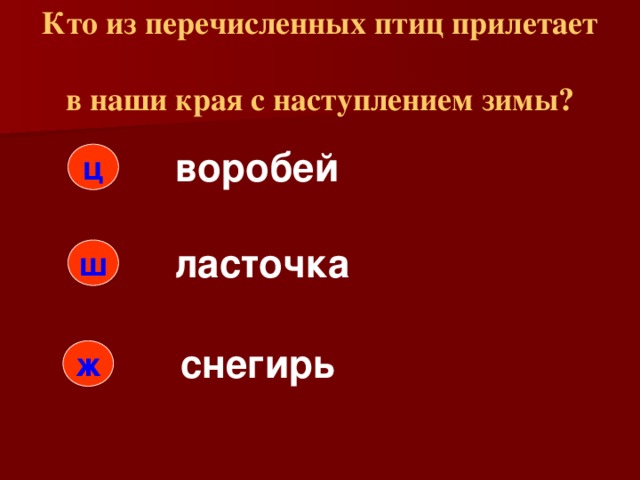 Кто из перечисленных птиц прилетает  в наши края с наступлением зимы? воробей ц ласточка ш снегирь ж 