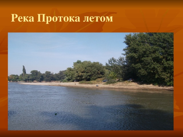 Река Протока летом 