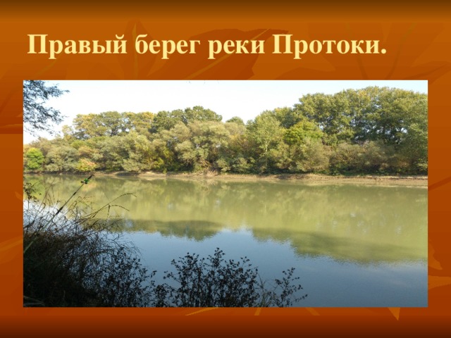 Правый берег реки Протоки. 