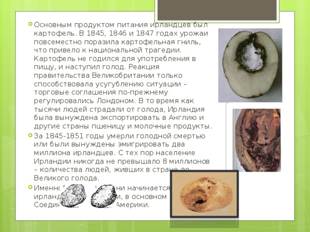 Основным продуктом питания ирландцев был картофель. В 1845, 1846 и 1847 годах урожаи повсеместно поразила картофельная гниль, что привело к национальной трагедии. Картофель не годился для употребления в пищу, и наступил голод. Реакция правительства Великобритании только способствовала усугублению ситуации – торговые соглашения по-прежнему регулировались Лондоном. В то время как тысячи людей страдали от голода, Ирландия была вынуждена экспортировать в Англию и другие страны пшеницу и молочные продукты. За 1845-1851 годы умерли голодной смертью или были вынуждены эмигрировать два миллиона ирландцев. С тех пор население Ирландии никогда не превышало 8 миллионов – количества людей, живших в стране до Великого голода. Именно с этого времени начинается история ирландской эмиграции, в основном в Соединенные Штаты Америки. 
