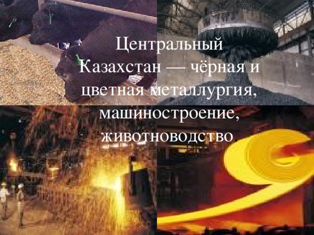Центральный Казахстан — чёрная и цветная металлургия, машиностроение, животноводство . 