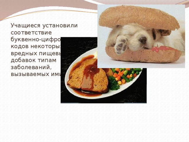 Учащиеся установили соответствие буквенно-цифровых кодов некоторых вредных пищевых добавок типам заболеваний, вызываемых ими. 
