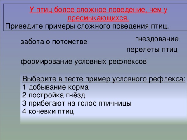  У птиц более сложное поведение, чем у пресмыкающихся.  Приведите примеры более сложного поведения.  Выберите из приведенного теста условный рефлекс:  1. Постройка гнезда  2. Поиск пищи  3. Прибегают на голос птичницы  4. Кормление птенцов. У птиц более сложное поведение, чем у пресмыкающихся. Приведите примеры сложного поведения птиц. гнездование забота о потомстве перелеты птиц формирование условных рефлексов Выберите в тесте пример условного рефлекса: 1 добывание корма 2 постройка гнёзд 3 прибегают на голос птичницы 4 кочевки птиц - гнездование птиц,  - забота о потомстве,  - перелеты птиц,  - формирование условных рефлексов 