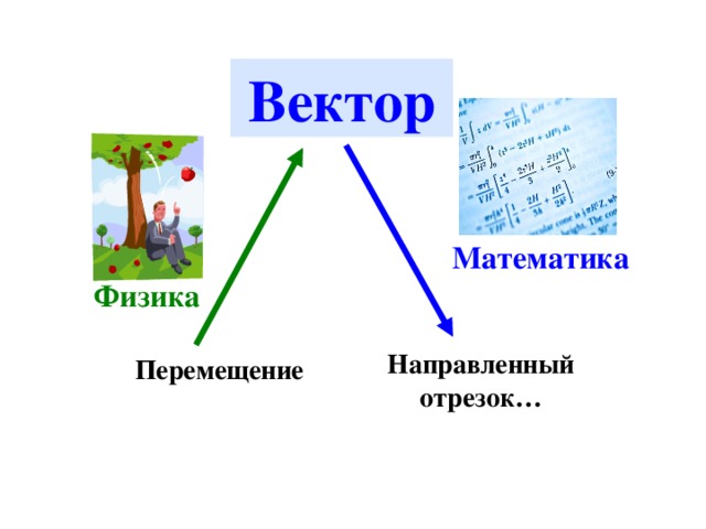 Вектор Математика Физика Направленный отрезок… Перемещение 