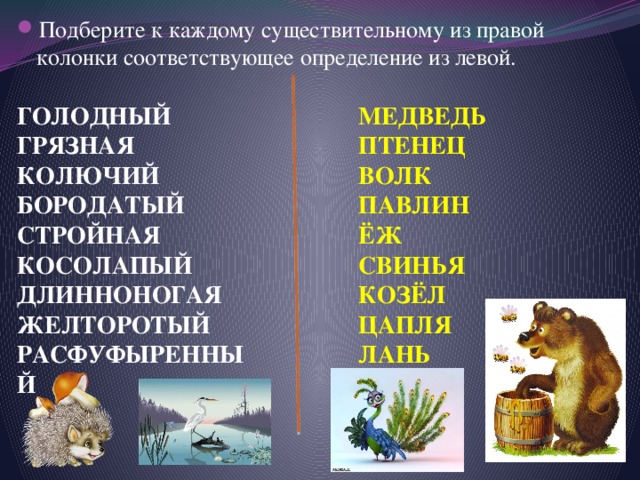 Подберите к каждому существительному из правой колонки соответствующее определение из левой. МЕДВЕДЬ ГОЛОДНЫЙ ПТЕНЕЦ ГРЯЗНАЯ КОЛЮЧИЙ ВОЛК ПАВЛИН БОРОДАТЫЙ СТРОЙНАЯ ЁЖ КОСОЛАПЫЙ СВИНЬЯ КОЗЁЛ ДЛИННОНОГАЯ ЖЕЛТОРОТЫЙ ЦАПЛЯ РАСФУФЫРЕННЫЙ ЛАНЬ 