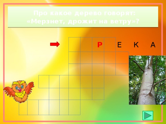  Про какое дерево говорят: «Мерзнет, дрожит на ветру»?  Р  Е К А 