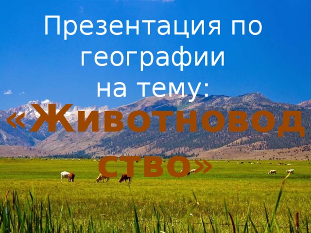 Презентация по географии на тему: «Животноводство » 
