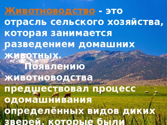 Животноводство  - это отрасль сельского хозяйства, которая занимается разведением домашних животных.    Появлению животноводства предшествовал процесс одомашнивания определённых видов диких зверей, которые были пригодны для жизни с человеком и из которых могла быть извлечена польза в форме источника мяса, молока, шкур или в качестве рабочего животного, тянущего плуг. 