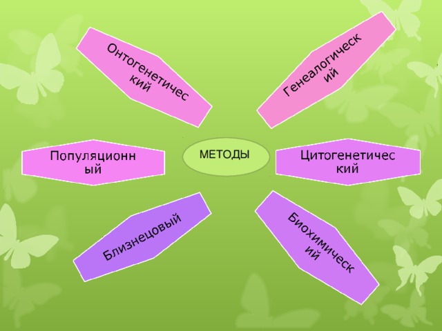 МЕТОДЫ 