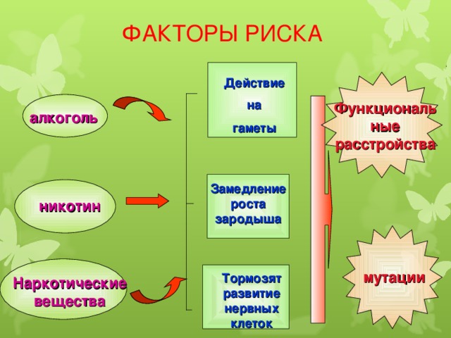 ФАКТОРЫ РИСКА Действие  на  гаметы Функциональные расстройства алкоголь Замедление роста зародыша никотин мутации Тормозят развитие нервных клеток Наркотические вещества 