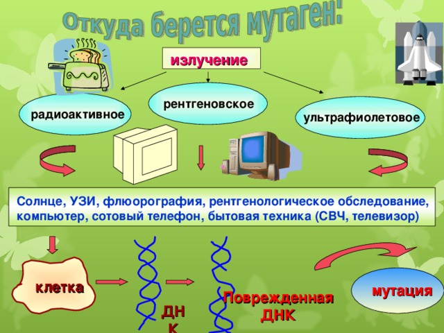  излучение рентгеновское радиоактивное ультрафиолетовое Солнце, УЗИ, флюорография, рентгенологическое обследование, компьютер, сотовый телефон, бытовая техника (СВЧ, телевизор)  клетка мутация Поврежденная ДНК ДНК 