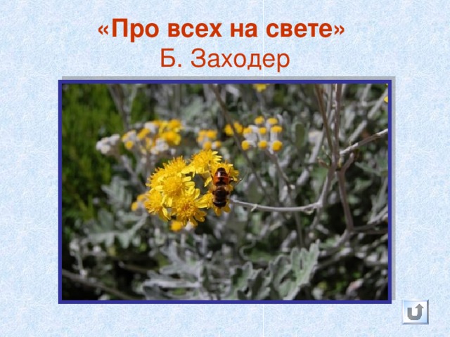 День Земли  — это гражданская инициатива, которая призвана объединять всё население планеты в деле защиты окружающей среды    