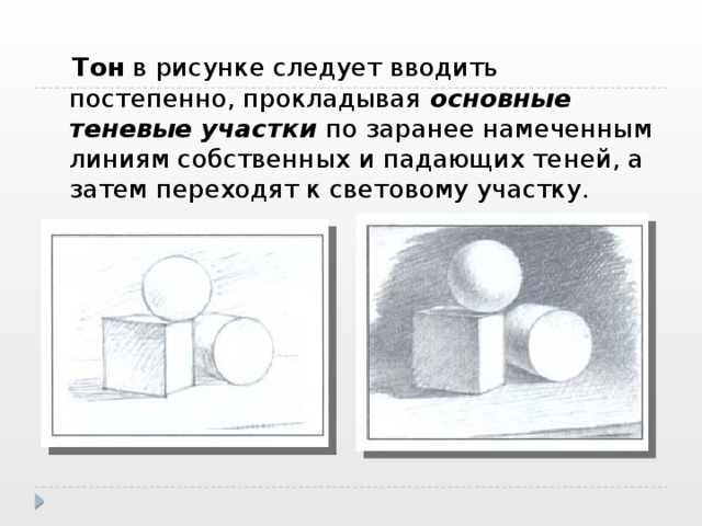   Тон в рисунке следует вводить постепенно, прокладывая основные теневые участки по заранее намеченным линиям собственных и падающих теней, а затем переходят к световому участку. 