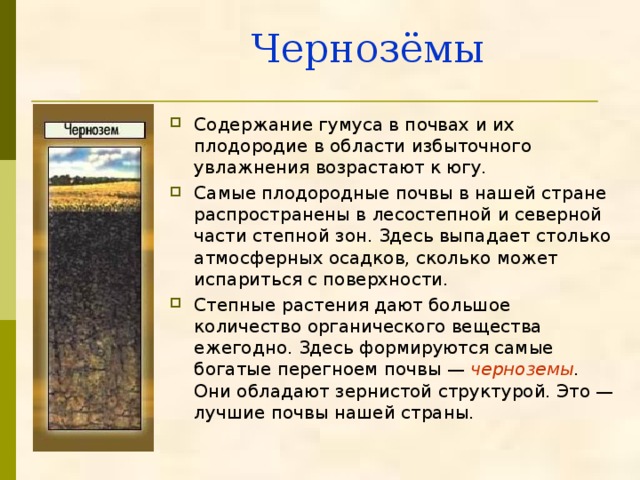 Чернозёмы Содержание гумуса в почвах и их плодородие в области избыточного увлажнения возрастают к югу. Самые плодородные почвы в нашей стране распространены в лесостепной и северной части степной зон. Здесь выпадает столько атмосферных осадков, сколько может испариться с поверхности. Степные растения дают большое количество органического вещества ежегодно. Здесь формируются самые богатые перегноем почвы — черноземы . Они обладают зернистой структурой. Это — лучшие почвы нашей страны. 