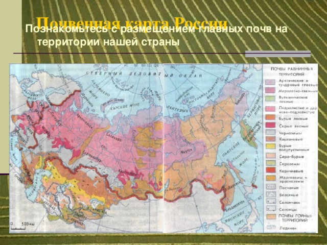 Почвенная карта России   Познакомьтесь с размещением главных почв на территории нашей страны 