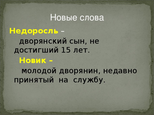 Новые слова Недоросль –  дворянский сын, не достигший 15 лет.  Новик –  молодой дворянин, недавно принятый  на службу. 